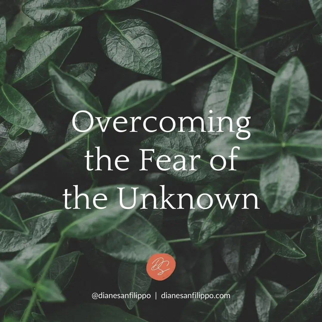 Overcoming the Fear of the Unknown | Diane Sanfilippo